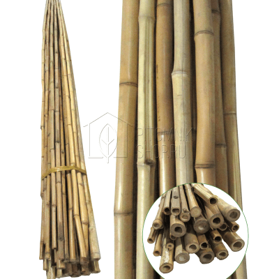 Опора бамбуковая 12-14 мм 120 см