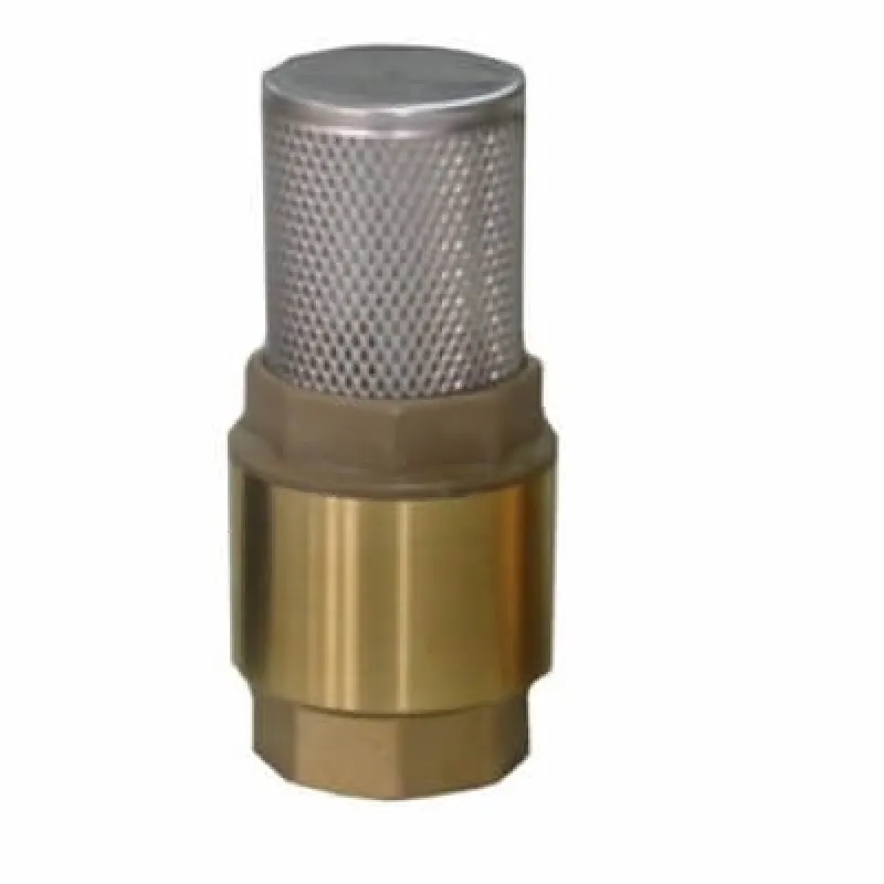 Клапан обратный с сеткой 1"