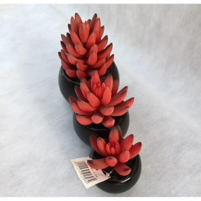 Искусственный цветок Суккуленты, 3 цветка, в черном горшке (91396)