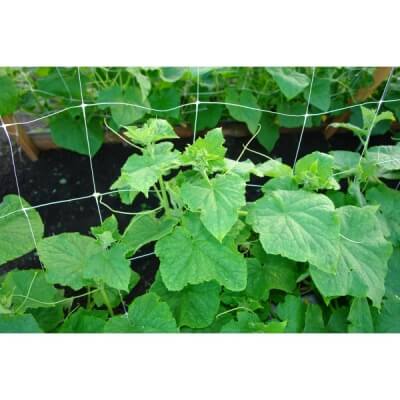 Сетка шпалерная (2м*10м) Ф-170/2/10 хаки