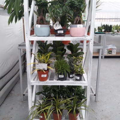 Этажерка белое-серебро