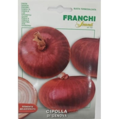 Лук репчатый Rossa Genova (1 гр) VXO 42/5