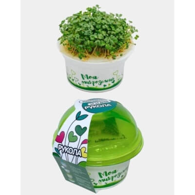 Набор для выращивания "Моя микрозелень РУКОЛА"V2