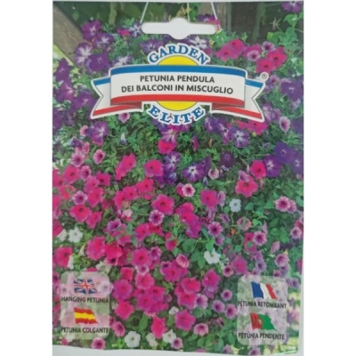 Petunia Pendula ампельная 1697