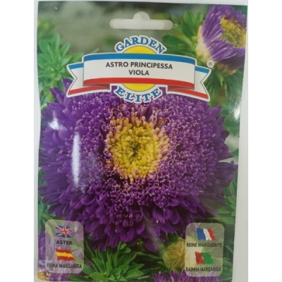 Астра Princ. Viola 1619