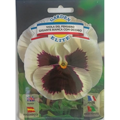 Виола del pensiero белый 1691