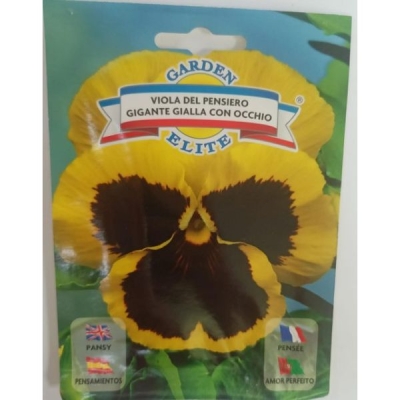 Виола del pensiero желтый 1664