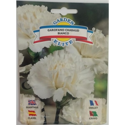 Гвоздика белая 1633