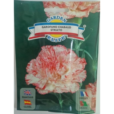 Гвоздика Белая с розовыми полосами 1635