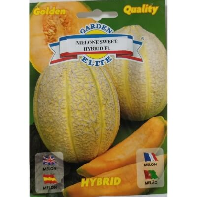 Дыня Sweet F1 11262