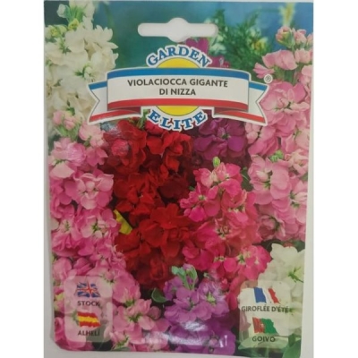 Левкой Gigante Di Nizza 1665