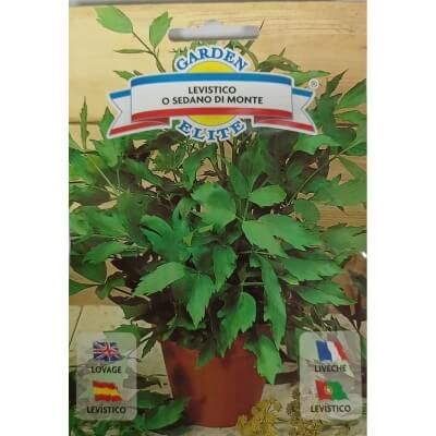 Любисток лекарственный 1226