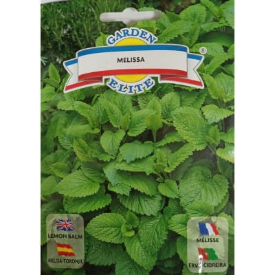 Мелисса лекарственная 1372