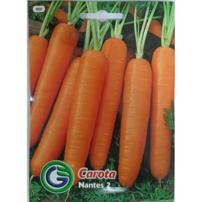 Морковь Nantes 2 1031