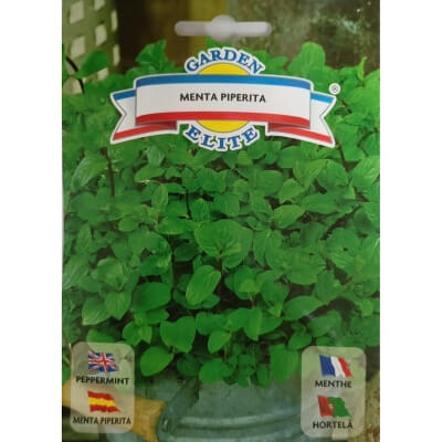 Мята душистая 1215