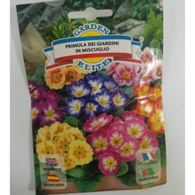 Примула dei Giardini 1626