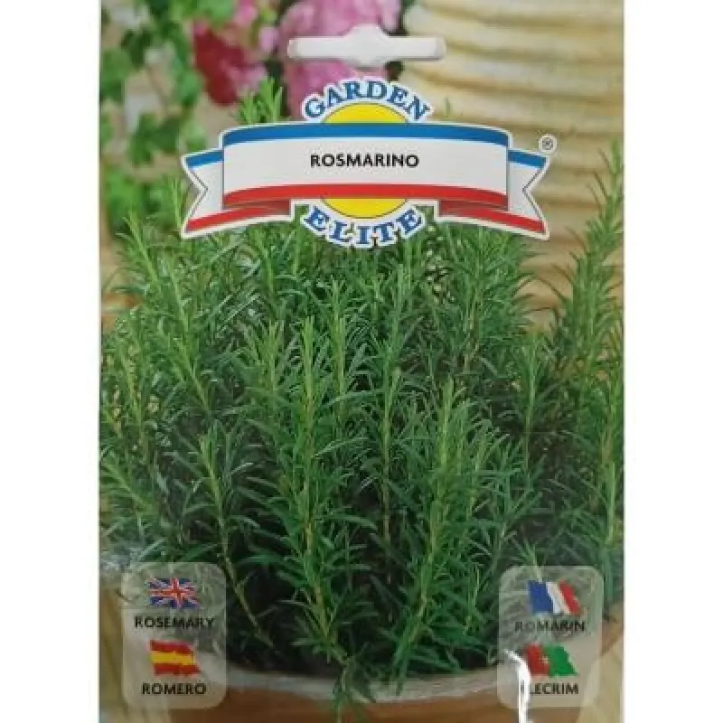 Розмарин обыкновенный 1217