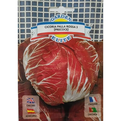 Цикорий салатный Palla Rossa 10442