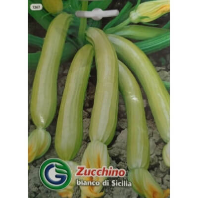 Цукини Bianco di Sicilia 1267