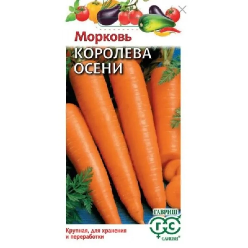Морковь Королева Осени позднеспелый 2,0г. Гавриш