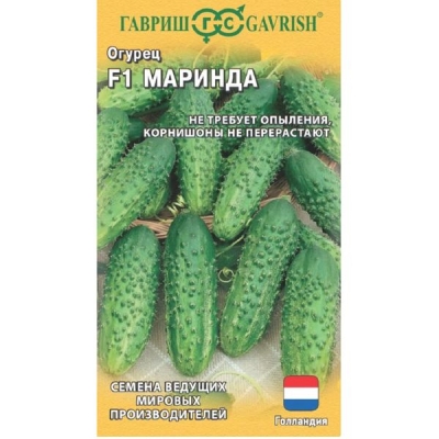 Огурец Маринда F1 Раннеспелый партенокарпический корнишон 10 шт. Гавриш