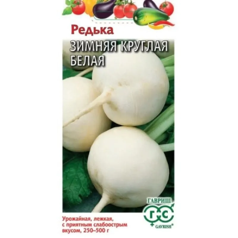 Редька Зимняя круглая белая среднеспелая 2,0г. Гавриш
