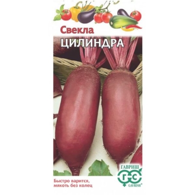 Свекла Цилиндра среднеспелый 3,0г. Гавриш