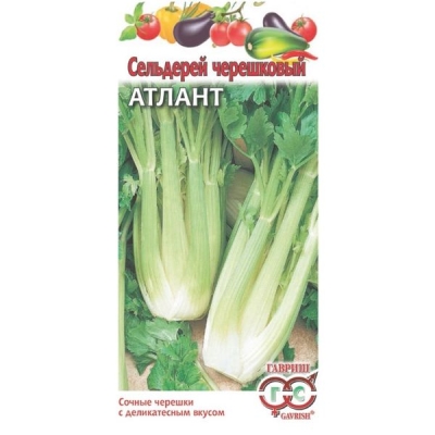 Сельдерей черешковый Атлант среднеспелый 0,1г. Гавриш