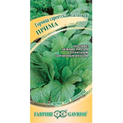 Горчица листовая Прима скороспелая 1г. Гавриш