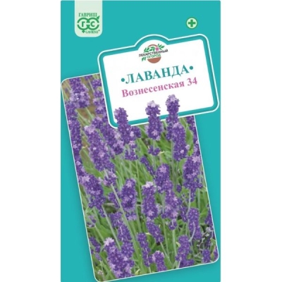 Лаванда узколистная Вознесенская 34 0,05г. Гавриш