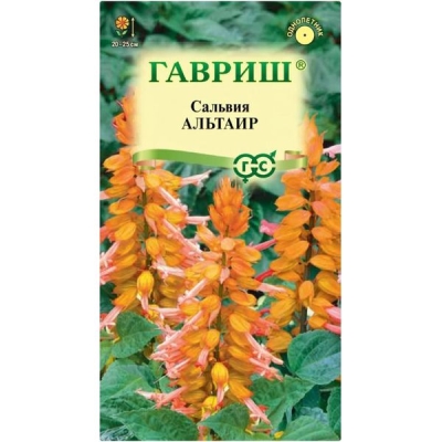 Сальвия Альтаир*, карликовая 4 шт Гавриш