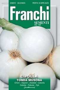 Лук репчатый Tonda Musona (0,2 гр) DBO 42/33