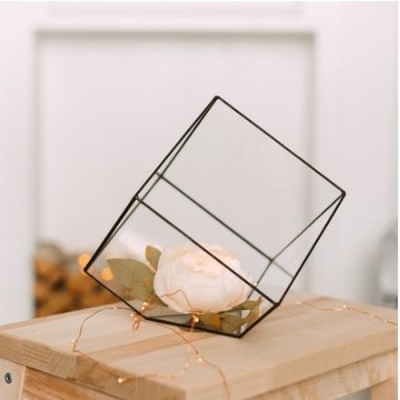 Флорариум "Куб" средний (швы черные) 4357708