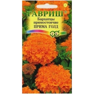 Бархатцы пр. Прима Голд (Тагетес) 0,3г. Гавриш