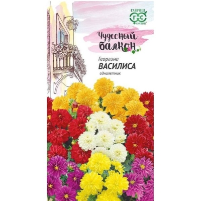 Георгина Василиса 0,3г. Гавриш