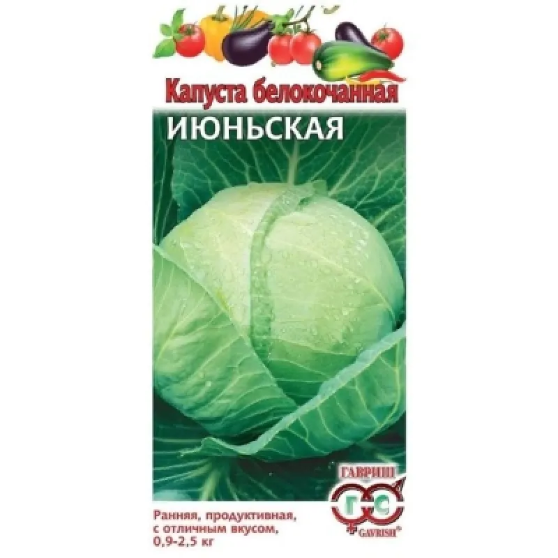 Капуста белокоч. Июньская раннеспелый 0,5г. Гавриш