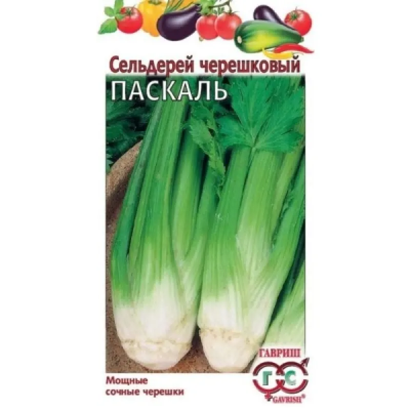 Сельдерей черешковый Паскаль среднеспелый 0,1г. Гавриш