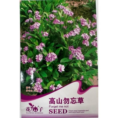 Альпийская незабудка (Миозотис) A252