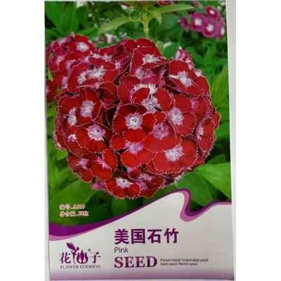 Американская гвоздика A010