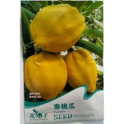 Арбуз "Долголетие" B070