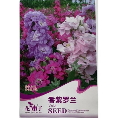 Ароматная фиалка A001