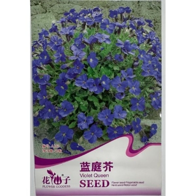 Аурибета голубая (Королева фиалок) A163