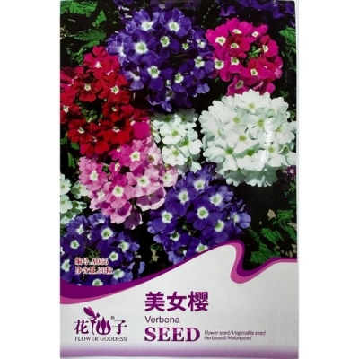 Вербена гибридная A066