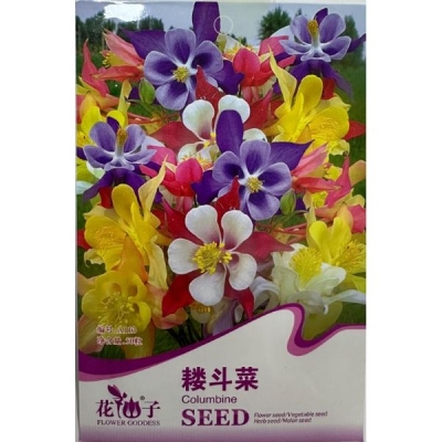 Водосбор (Аквилегия) A113