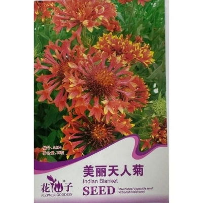 Гайлардия красивая A054