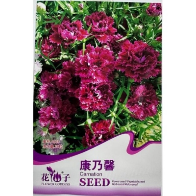 Гвоздика A003