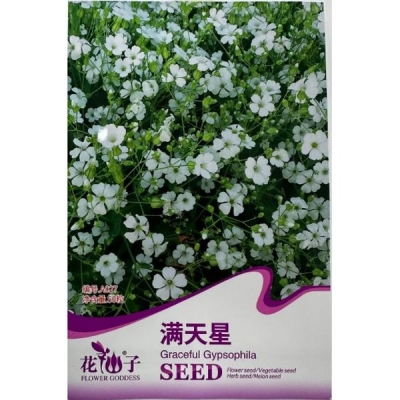 Гипсофила изящная (Гипсофила облачная) A027