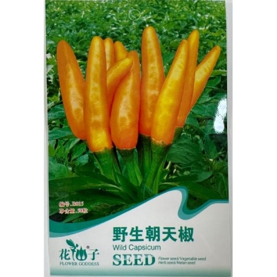 Дикий острый перец B015