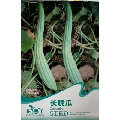 Длинный хрустящий огурец B119