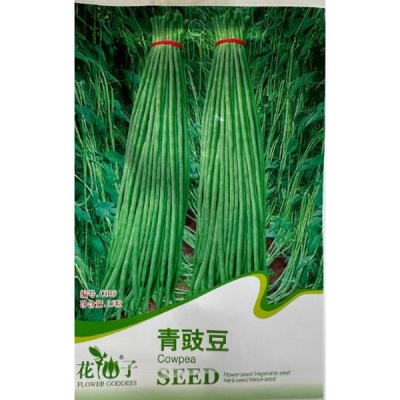 Зелёная квашеная фасоль (Вигна) C039